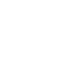 value-img17